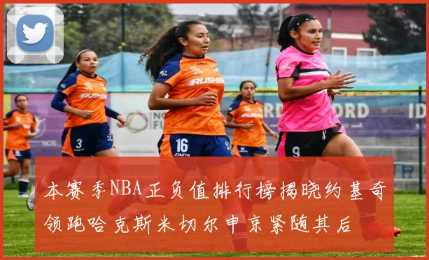 本赛季NBA正负值排行榜揭晓约基奇领跑哈克斯米切尔申京紧随其后