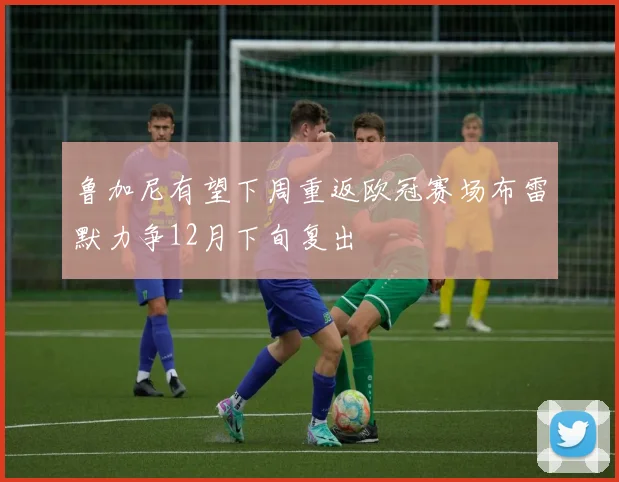 鲁加尼有望下周重返欧冠赛场布雷默力争12月下旬复出