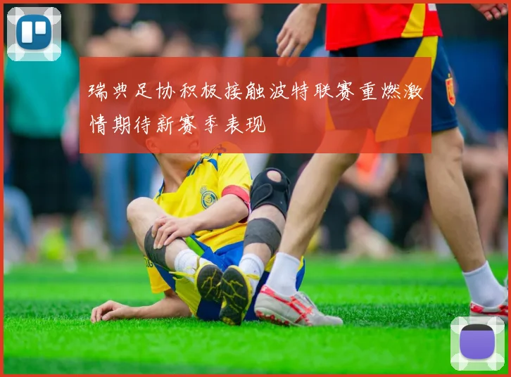 瑞典足协积极接触波特联赛重燃激情期待新赛季表现