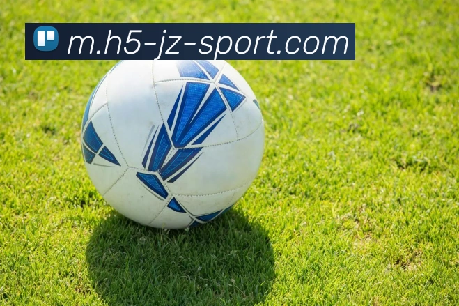 九州体育平台生态图